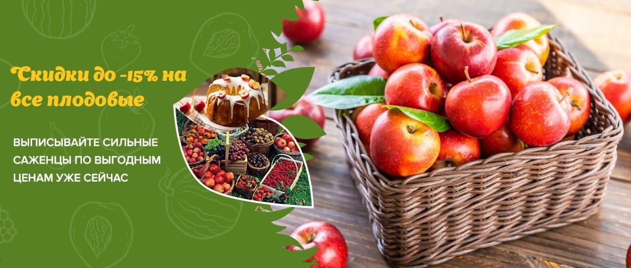 Акция! Саженцы плодовых Акция! Саженцы плодовых