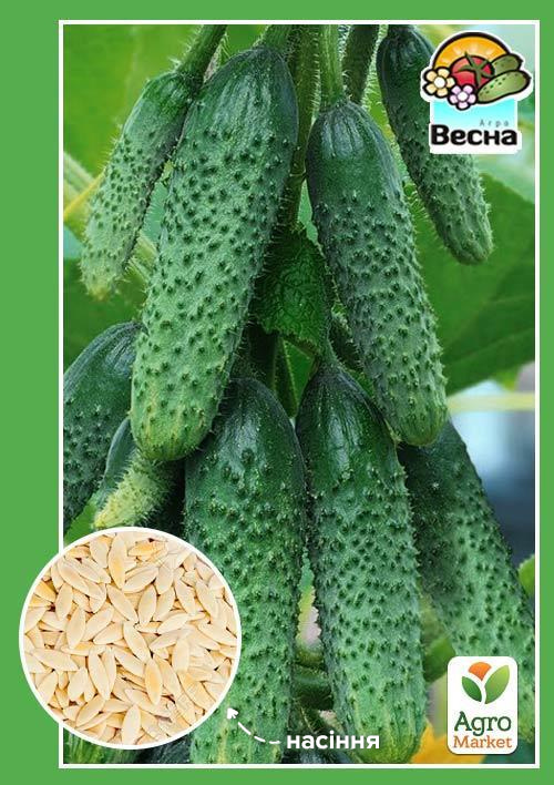 

Огірок Веселі гномики F1 (Новий пакет) ТМ Весна 0.25г