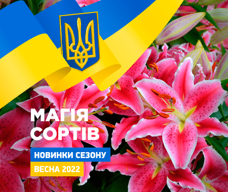 Чарівництво Сортів! Чарівництво Сортів!