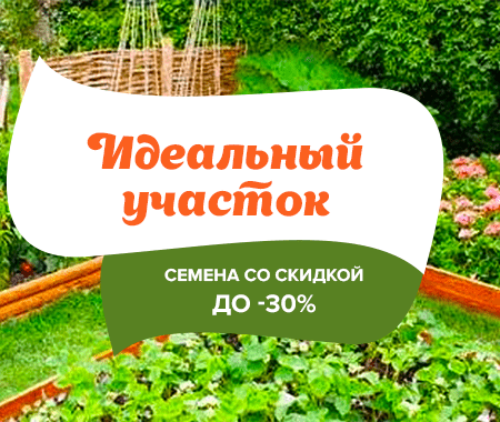 Акция! Идеальный участок Акция! Идеальный участок