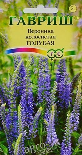 

Вероника колосистая "Голубая" ТМ "Гавриш" 0.1г
