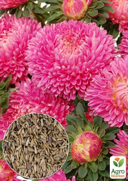 

На развес Астра пионовидная розовая ТМ Весна цена за 1,5г