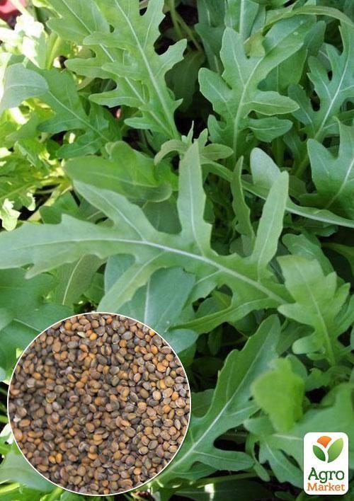 

На вагу Салат Рукола ТМ Весна ціна за 10г