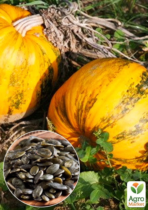 

На вагу Гарбуз Штирійський ТМ Весна ціна за 10г