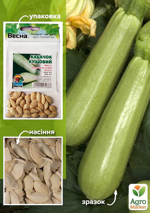 

Кабачок Кущовий (Зипер) ТМ Весна 5г