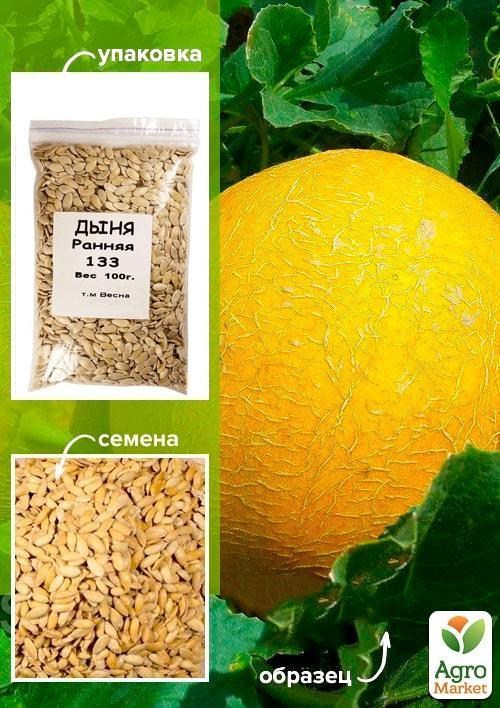 

Дыня "Ранняя 133" ТМ "Весна" 100г