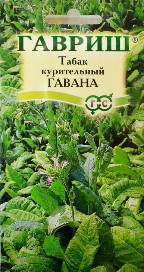

Семена Табак курительный "Гавана" ТМ "Гавриш" 0.01г
