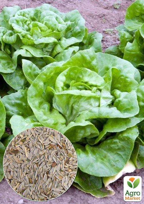 

На развес салат кочанный Годар ТМ Весна цена за 5г