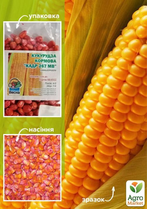 

Кукуруза кормовая Кадр 267 ТМ Весна 100г
