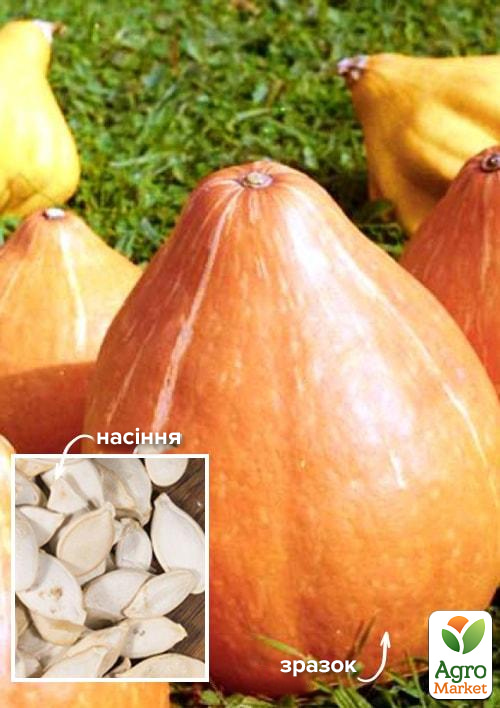 

На развес Тыква Оранжевая сладость ТМ Весна цена за 10г