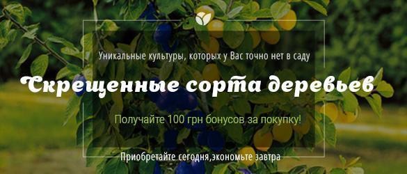 Получайте в подарок 50, 100 и больше грн на бонусный счет за уникальные гибриды! Получайте в подарок 50, 100 и больше грн на бонусный счет за уникальные гибриды!