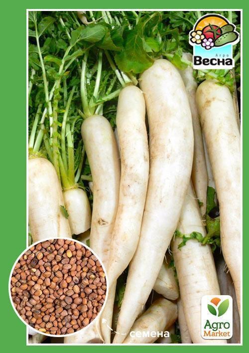 

Дайкон "Белый клык" ТМ "Весна" 2г