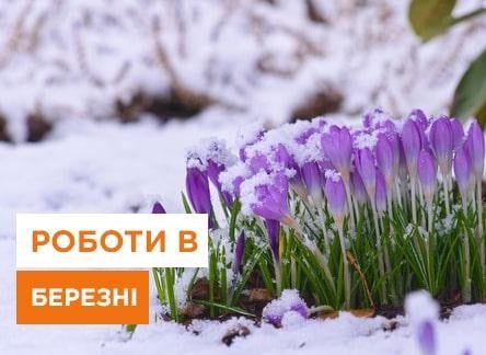 Садові роботи у березні для щедрого врожаю - Agro-Market
