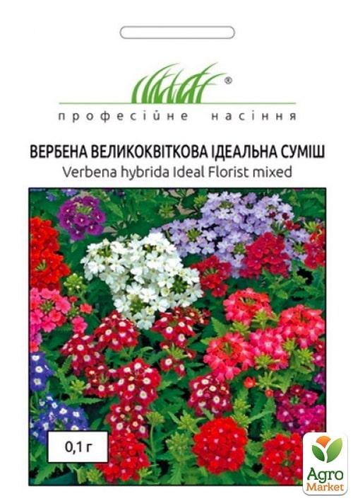 Вербена великоквіткова "Ідеальна суміш" ТМ "HEM Zaden" 0.1г