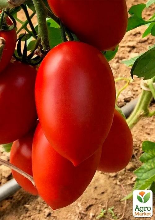 

Томат индетерминантный "Эльза F1" ТМ "Lark Seeds" 250шт