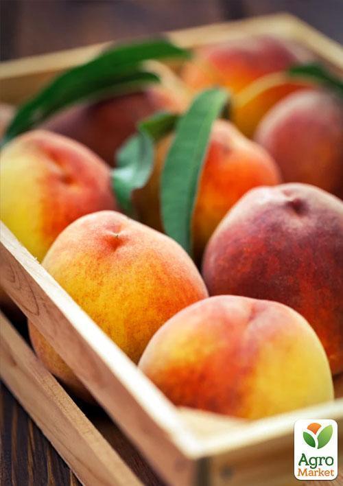 

Персик Инка (летний сорт, поздний срок созревания)