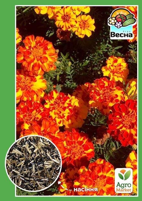 

Чорнобривці Болеро ТМ Весна 0.3г