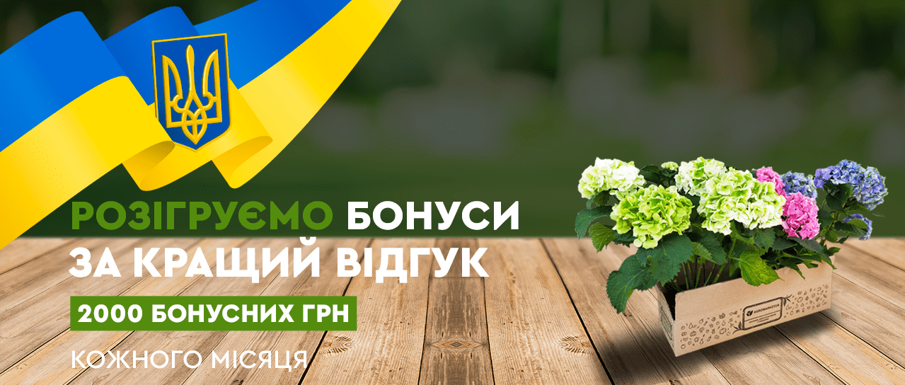 Акція! 2000 бонусних гривень за кращий відгук Акція! 2000 бонусних гривень за кращий відгук