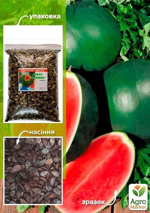 

Арбуз Огонек ТМ Весна 500г