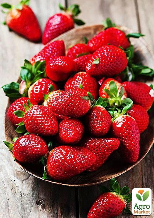 

Ексклюзив! Полуниця яскраво-червона Місіс Віллоу (Mrs. Willow) (преміальний ремонтантний сорт, італійська селекція)