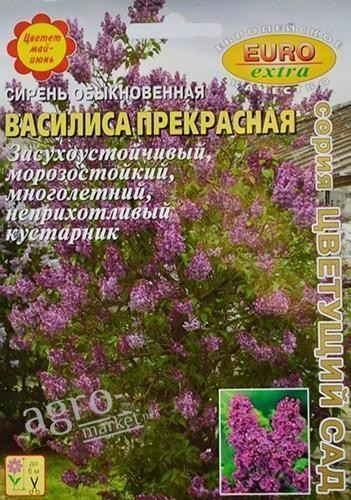 Кустарники Почтой Интернет Магазин