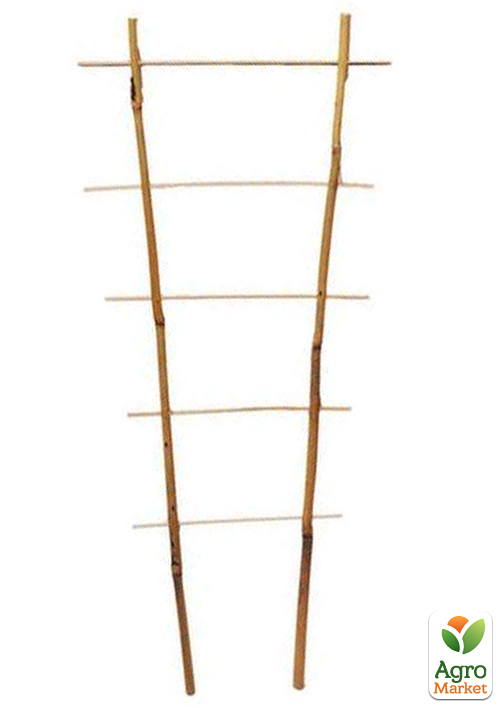 

Драбина бамбукова 45см (S2) ZRостай