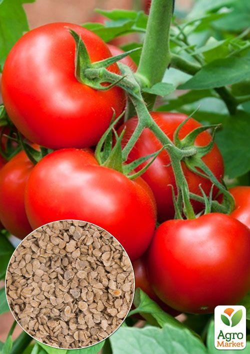 

На вагу Томат Волгоградський 5/95 ТМ Весна ціна за 1г