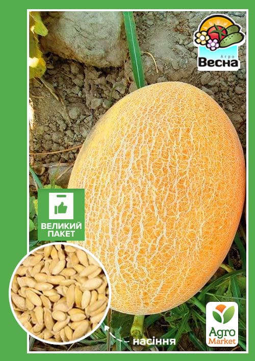 

Дыня Сахарная (Большой пакет) ТМ Весна 4г