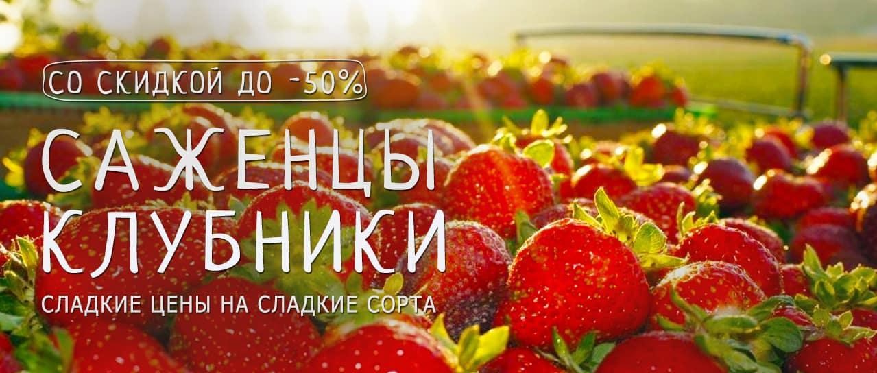 Акция! Скидка до -50% на абсолютно все сорта клубники Акция! Скидка до -50% на абсолютно все сорта клубники