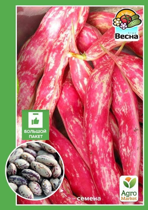 

Фасоль спаржевая "Бортолло" (Большой пакет) ТМ "Весна" 10г