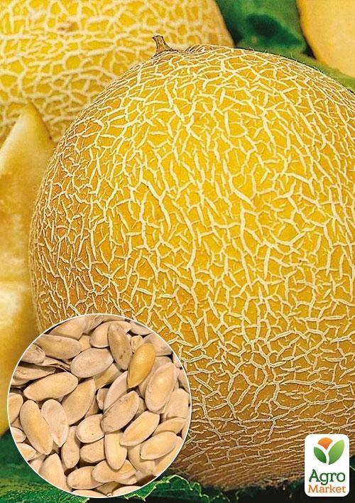 

На развес Дыня Титовка ТМ Весна цена за 6г