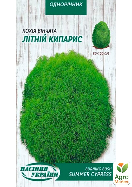 

Кохия Летний кипарис ТМ Семена Украины 0.5г