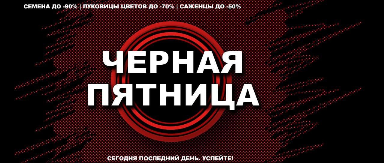Черная пятница Черная пятница