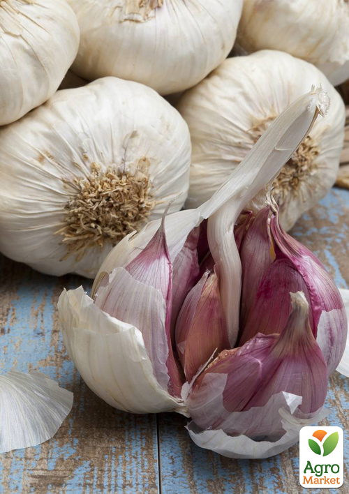 

Часник посадковий (головка) Яровий 0.2кг