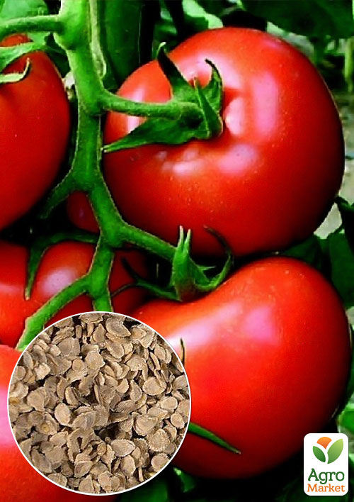 

На вагу Томат Неваляшка ТМ Весна ціна за 1г