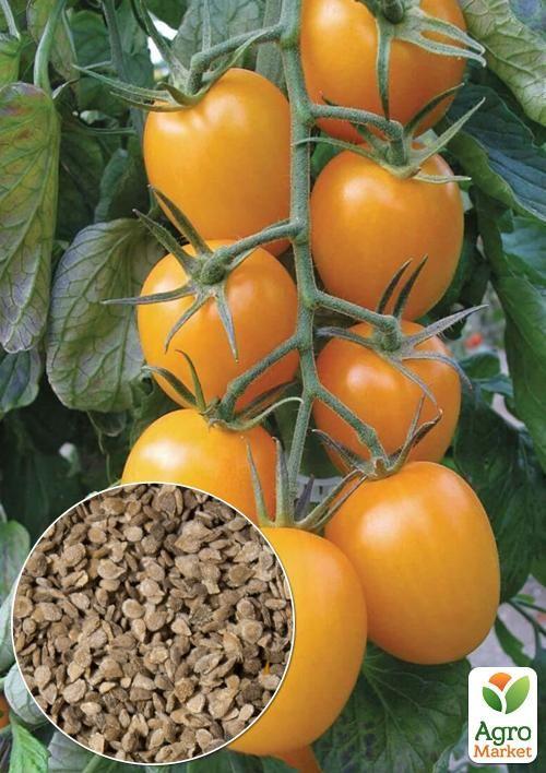 

На развес Томат Золотая королева ТМ Весна цена за 1г