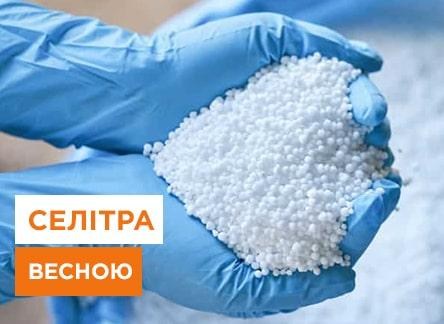 Что можно подкормить селитрой весной