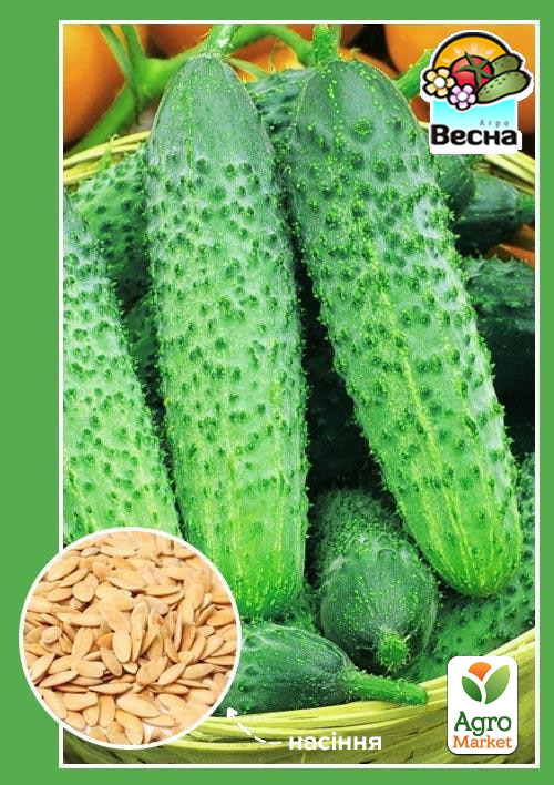 

Огурец Соседу на зависть F1 ТМ Весна 0.5г