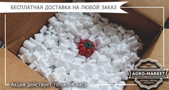 Только 4 часа бесплатная доставка! Только 4 часа бесплатная доставка!