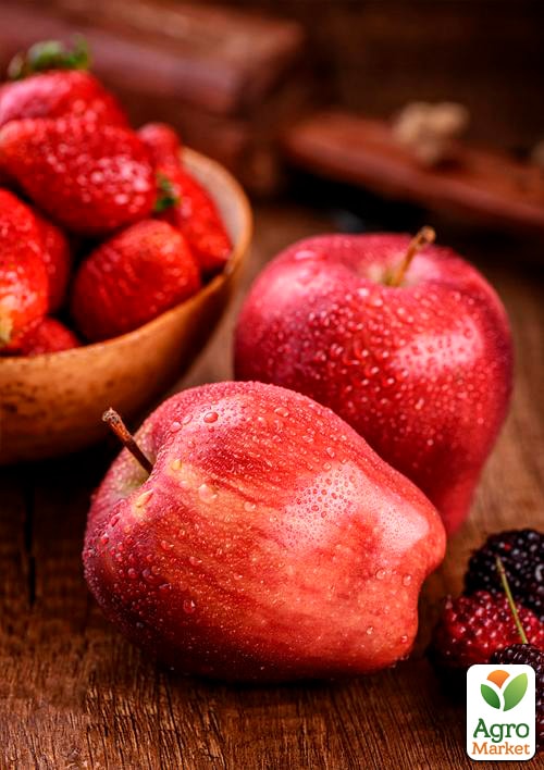 

Яблуня Ред Чіф (зимовий сорт, пізній термін дозрівання)