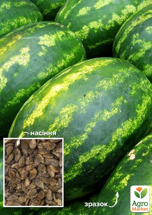 

На вагу Кавун Смугаста торпеда ТМ Весна ціна за 6г