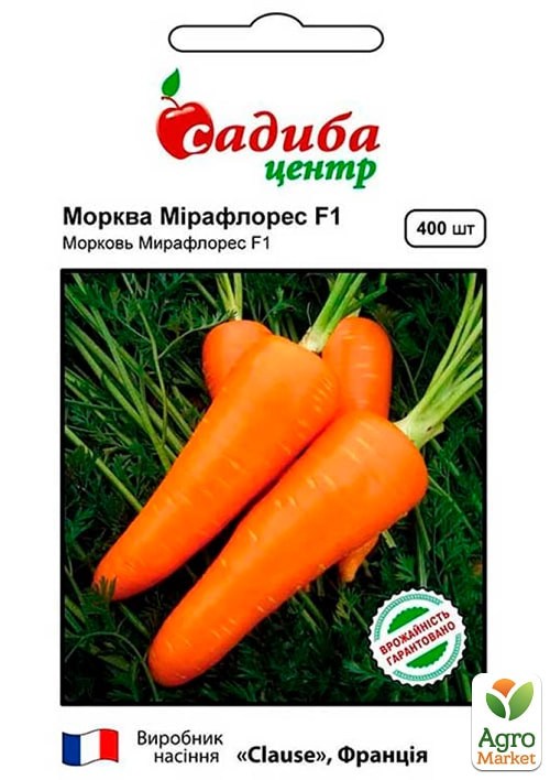 Купить Голландские Семена Морковь