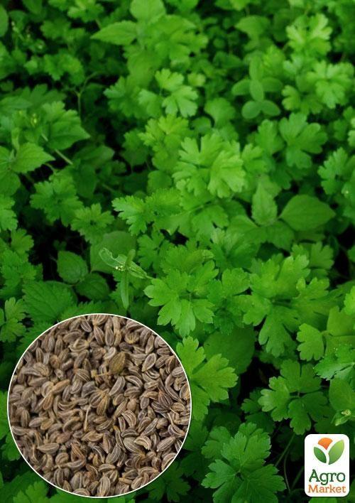 

На развес Петрушка Ароматная ТМ Весна цена за 10г