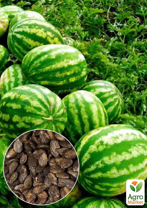 

На развес Арбуз Одесский сувенир ТМ Весна цена за 6г