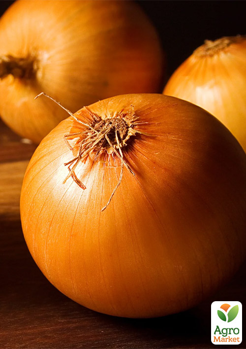 

Голландська цибуля-сіянка 0.5кг (арбажейка) ранній, жовтий Радар