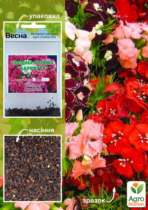

Гвоздика турецкая Барбатус (Зипер) ТМ Весна 1г