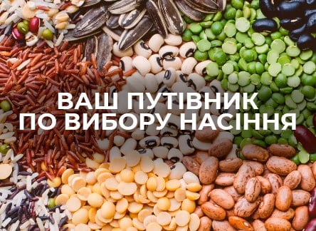 Секрети зеленого врожаю: Ваш путівник по вибіру насіння - корисні статті про садівництво від Agro-Market