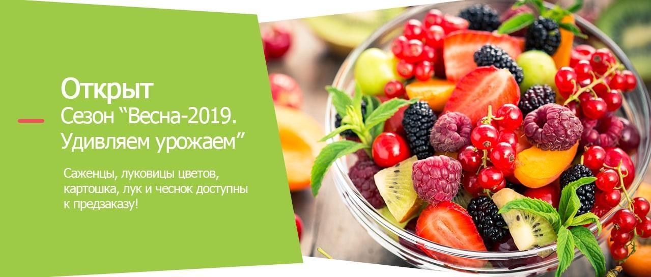 Предзаказ Сезон "Весна-2019. Удивляем урожаем" Предзаказ Сезон "Весна-2019. Удивляем урожаем"