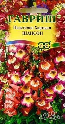 

Пенстемон Хартвега "Шансон" ТМ "Гавриш" 0.1г