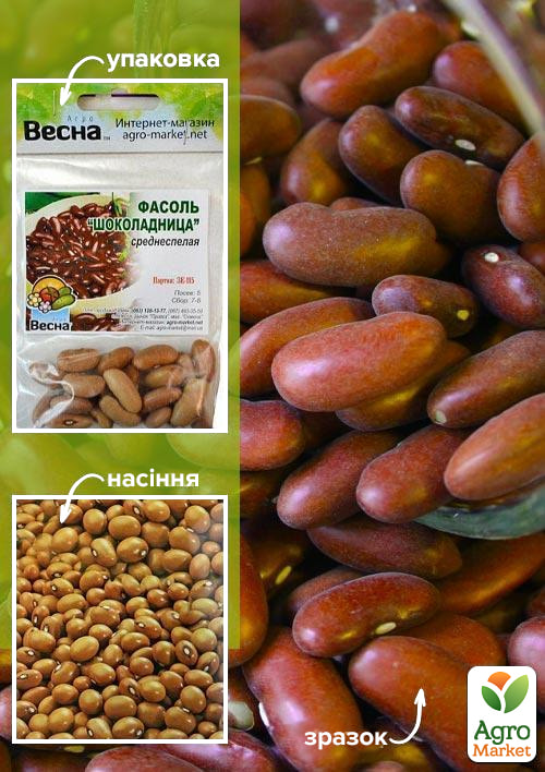 

Квасоля Шоколадниця (Зипер) ТМ Весна 5г